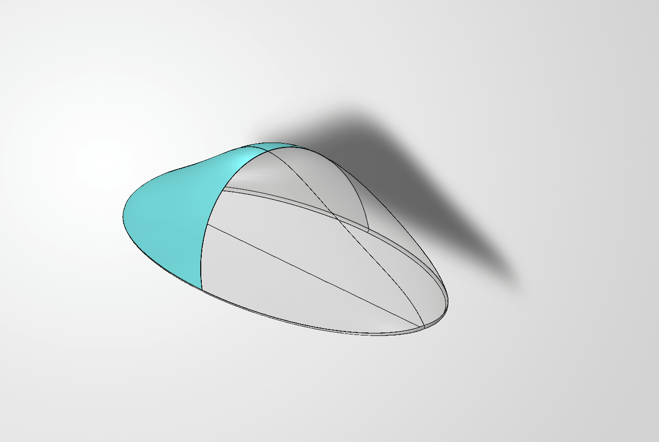 Angled view of the canopy surface model
