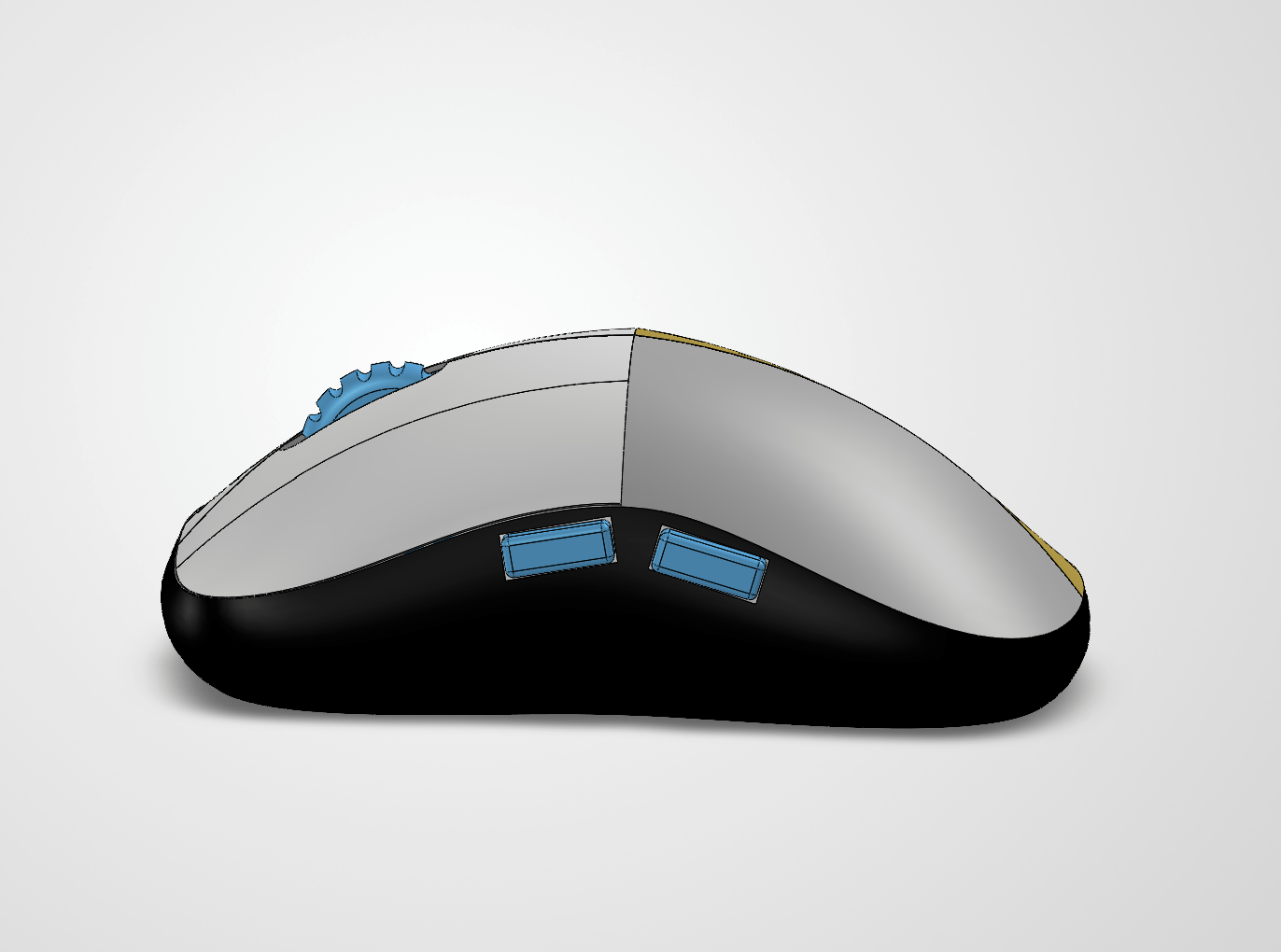 Side view of the mouse model