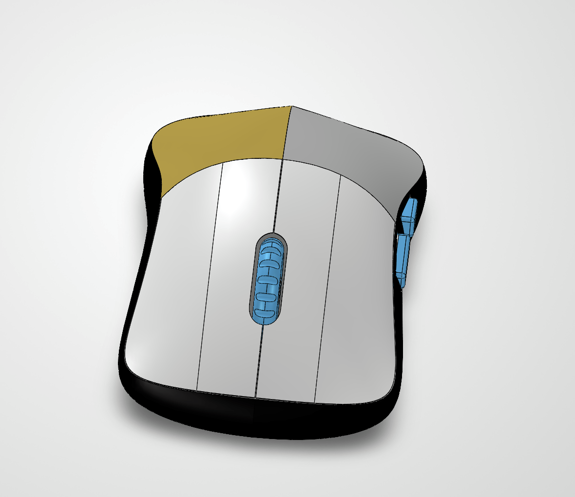 Top view of the mouse model